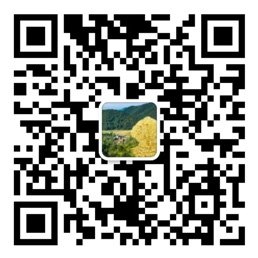 卧龙计划手机版下载